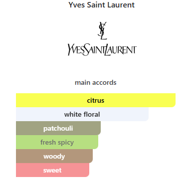 MY SLF-Yves Saint Laurent for him - Imagen 2
